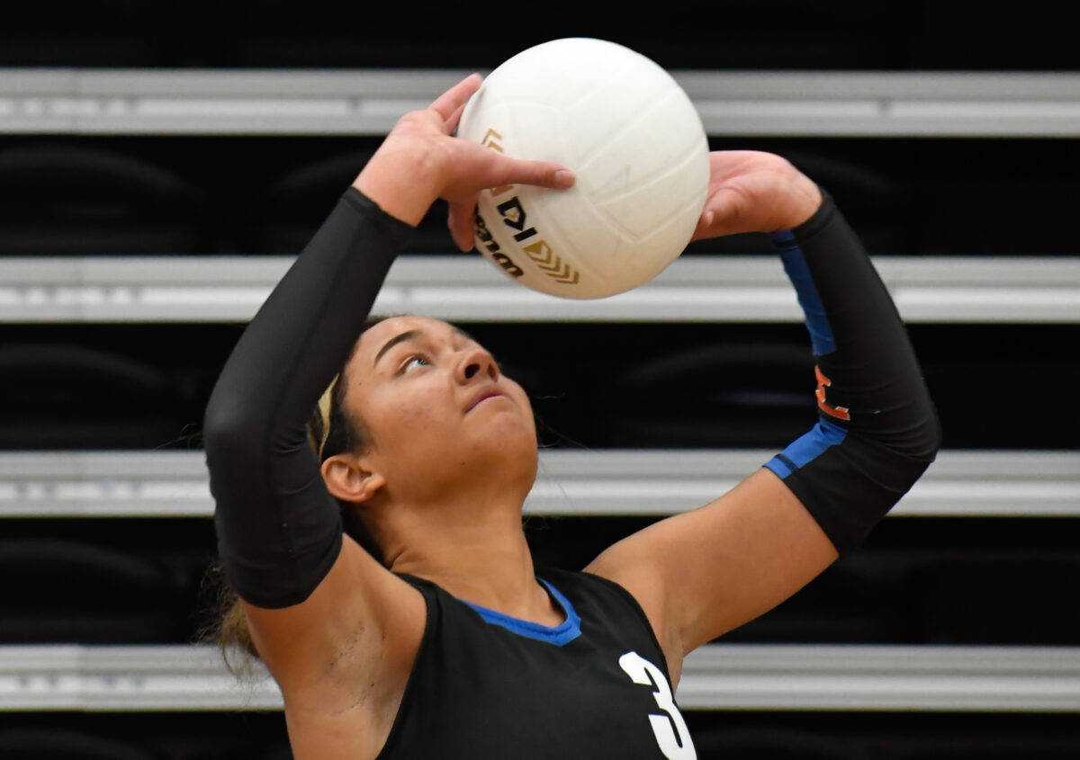 Best of the Best 2022 Daily Herald AllValley Girls Volleyball Team
